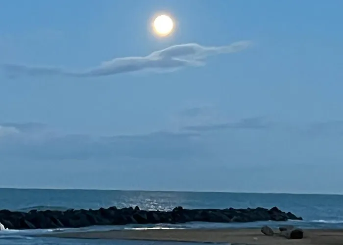 Guest house Il Granello 3*