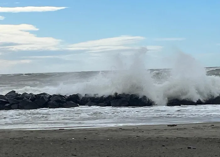 Il Granello 3* Fiumicino