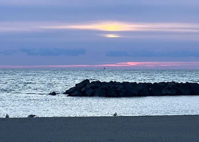 Il Granello Guest house Fiumicino